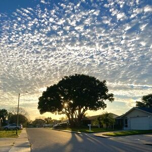 Meet your Posher, Giana